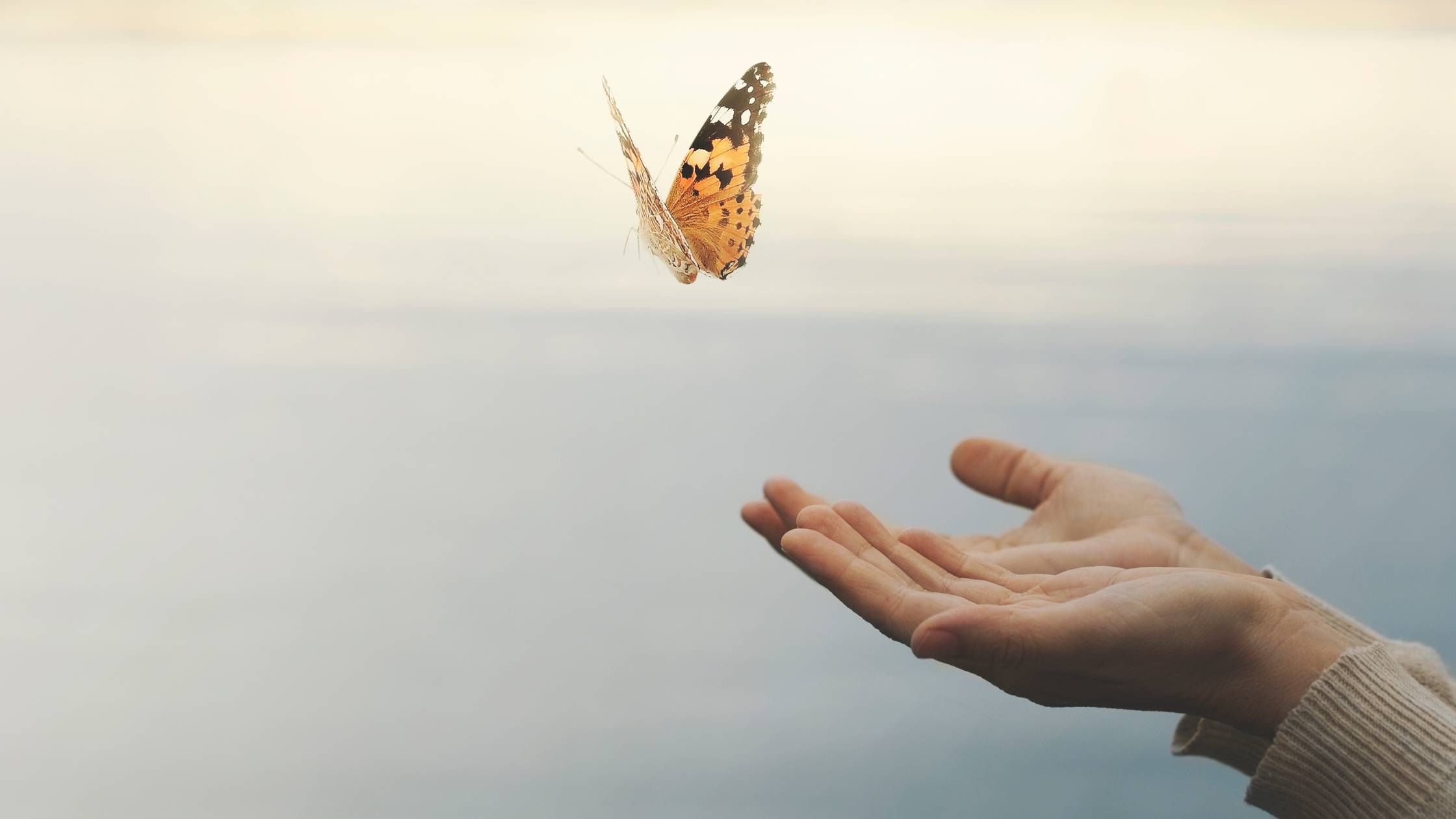 new-you-version-frau-gluecklich-schmetterling
